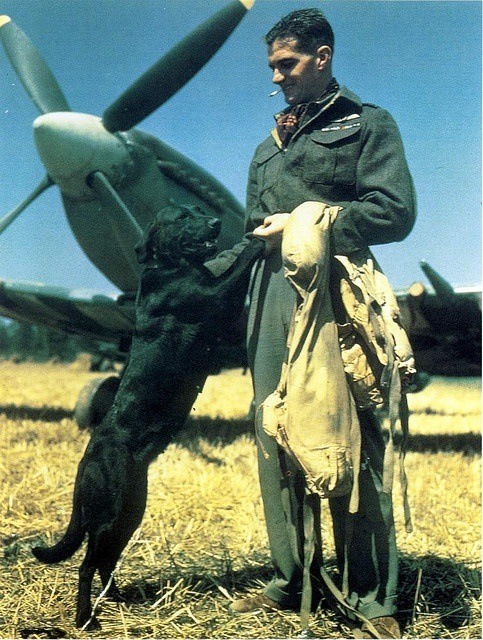 WWII RAF pilot
