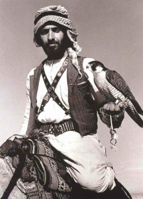 arab falconer 3