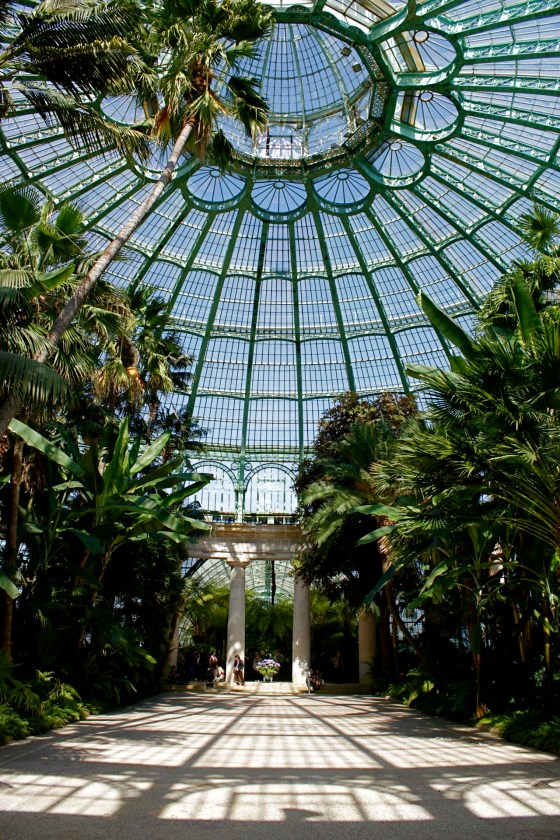 conservatory belguim