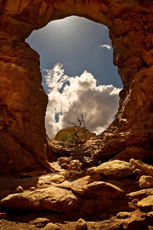 DESERT ARCH