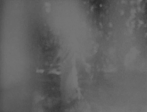 ghost in garden GIF