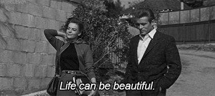life can be beautiful GIF