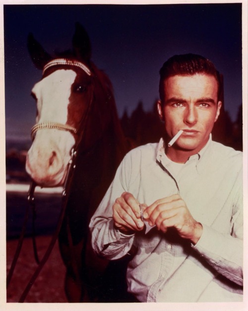 montgomery clft smoke