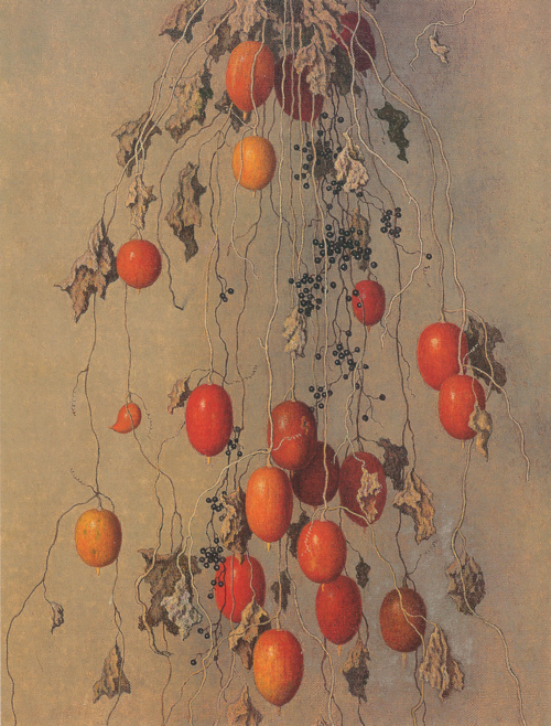 persimmons