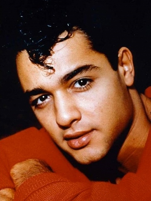 sal mineo 501