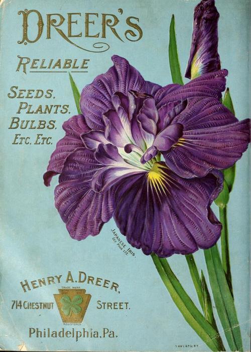 seed catalogs 501