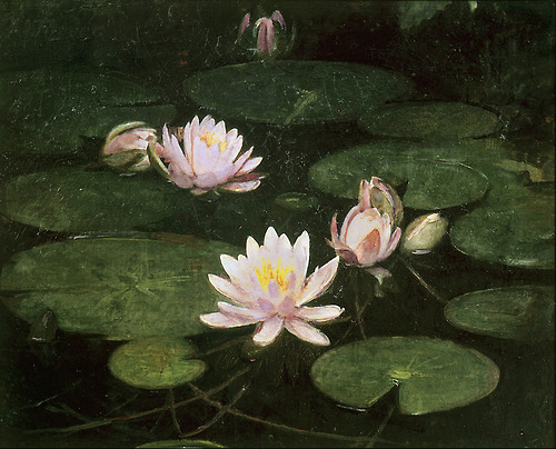 WATER LILIES 5
