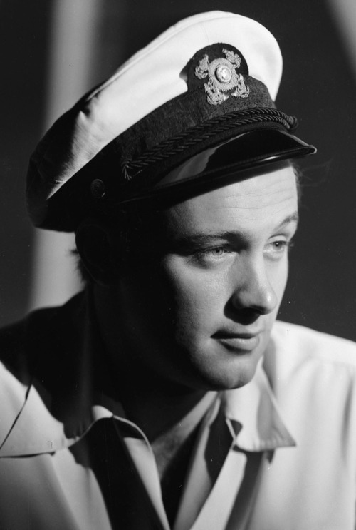 william holden 3