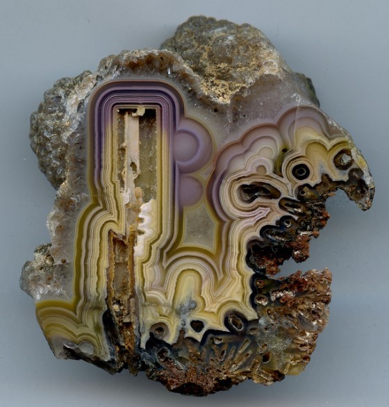 agate 4231