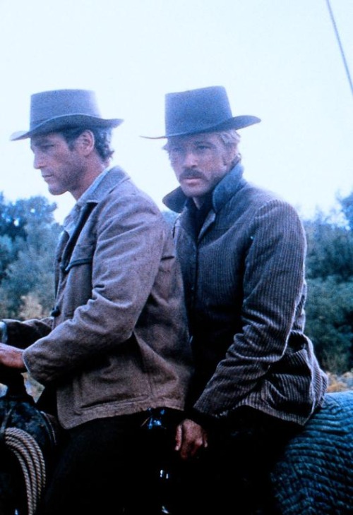 butch cassidy sundance 501