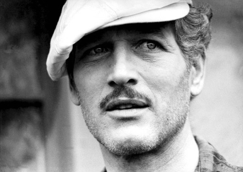 paul newman the sting