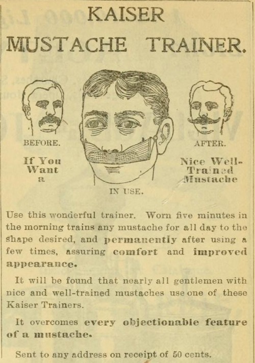 stache trainer