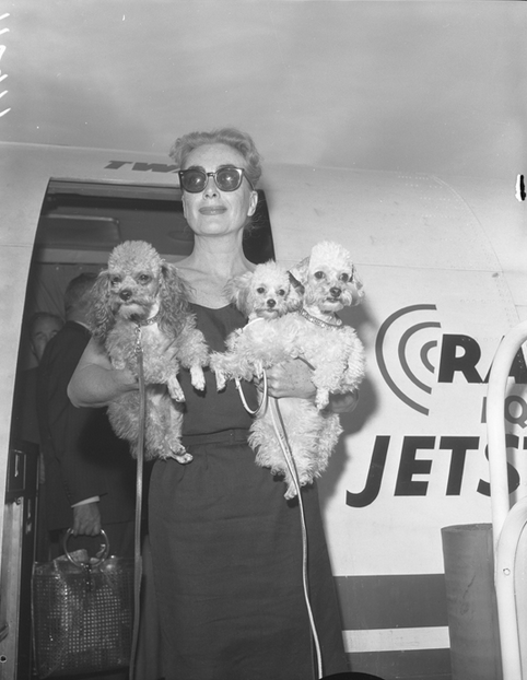 joan 1958 poodles