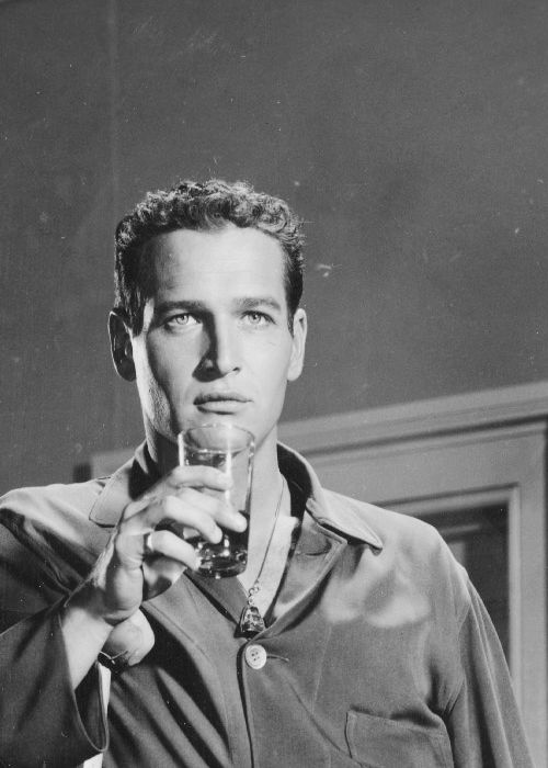 paul newman cat on a hot 3