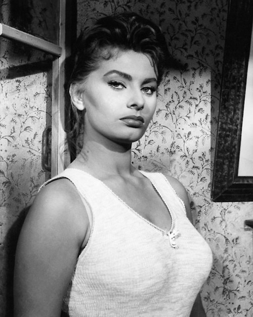 sophia loren 664