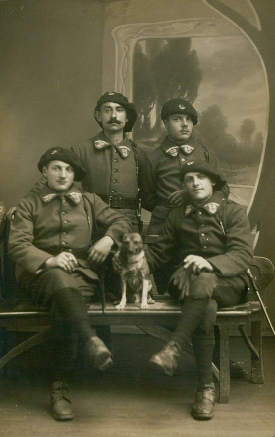 WWI French Alpine