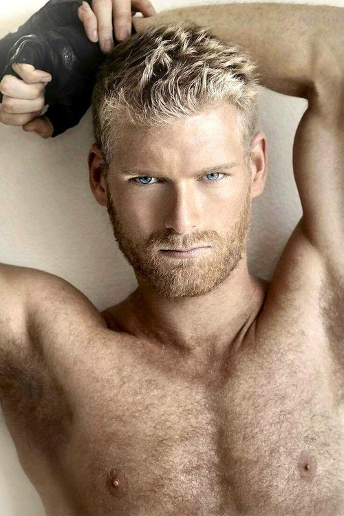 beard blond