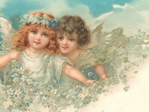 cherubs 3