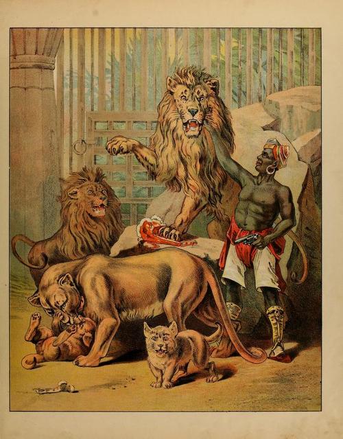 circus animals 1880s