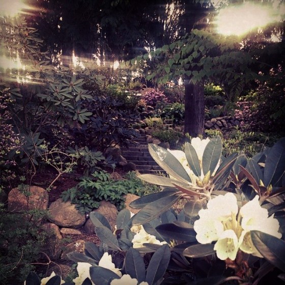 copenhagen botanical garden