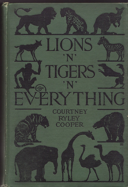 lions tigers n everything