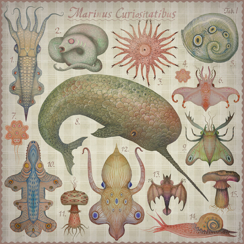 vladimir stankovic001