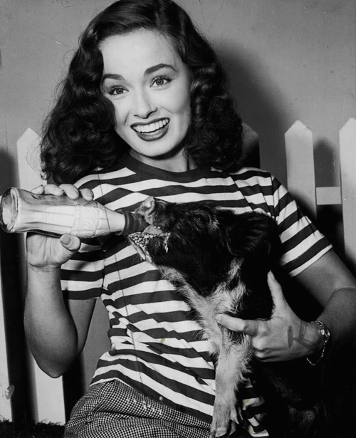 ann blyth feedig a pig