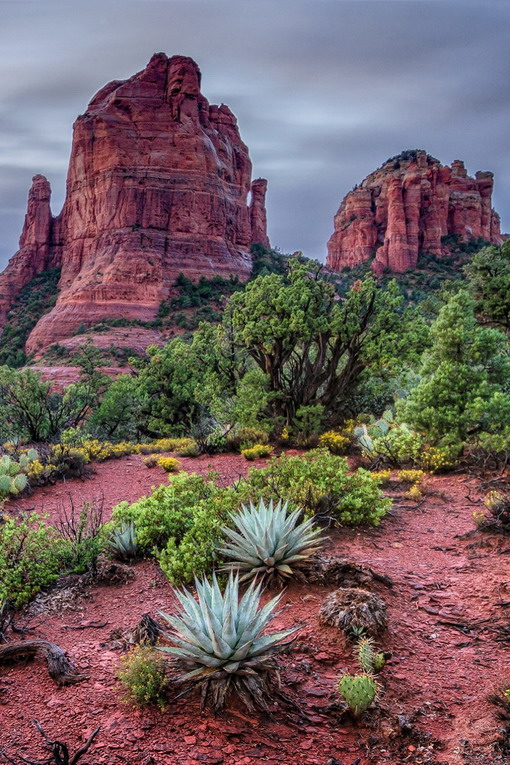 arizona michael wilson