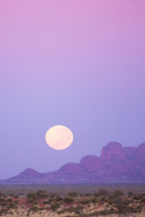 australia john white