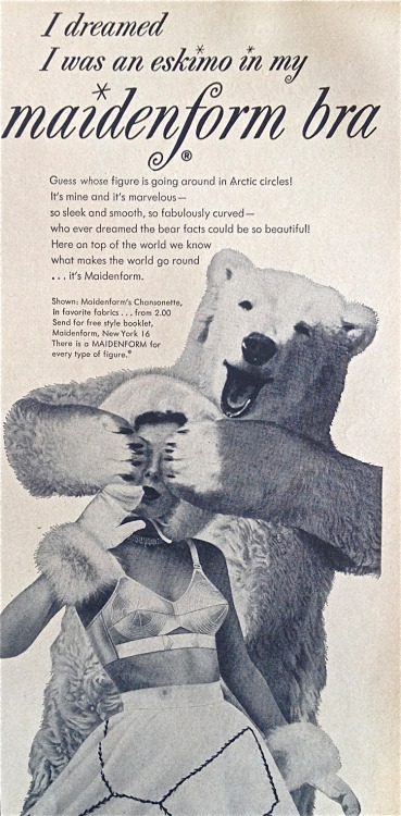 maidenform eskimo