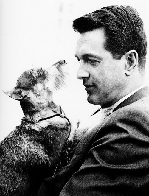 rock hudson strange bedfellows