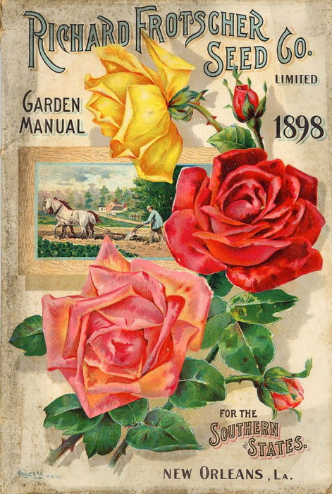 rose catalong 1898