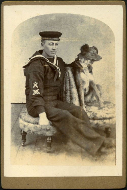 sailor dog 3