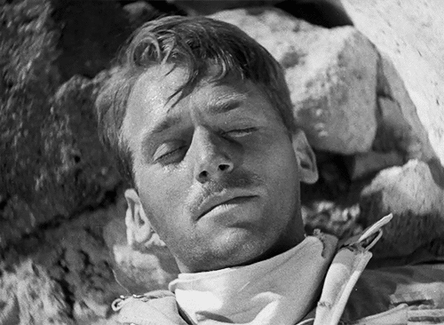 douglas fairbanks jr 291 GIF