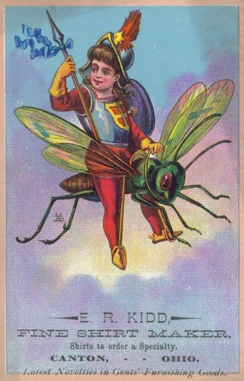 grasshopper e r kidd