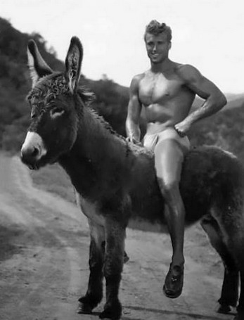 guy madison donkey