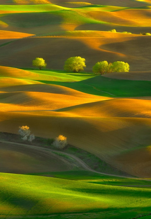 italy spring tuscany