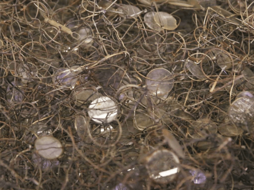 Nazi murdered jews glasses