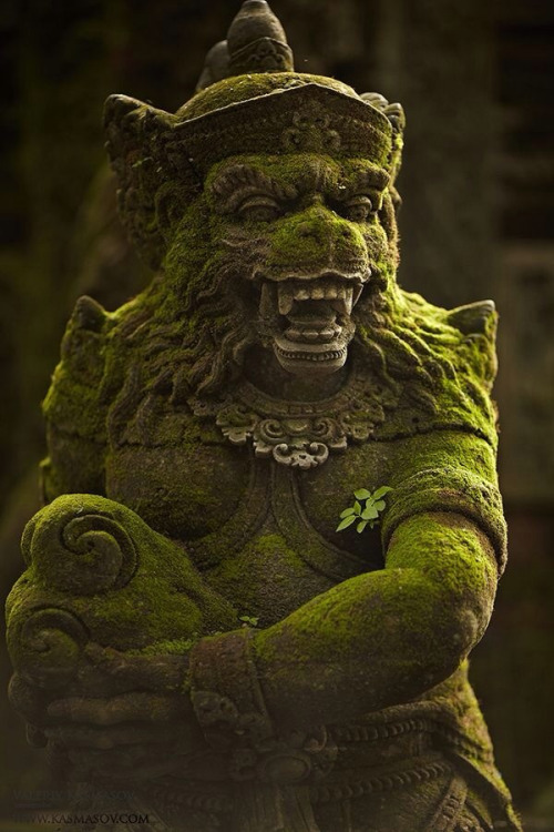 moss covered statue