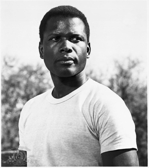 SIDNEY POITIER 1963