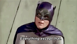 batman catwoman GIF 252