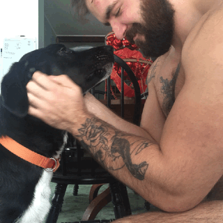 beard and dog GIF