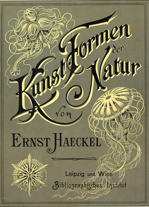 ernst haeckel 33