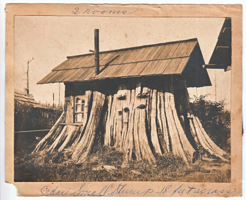 lumberjack house