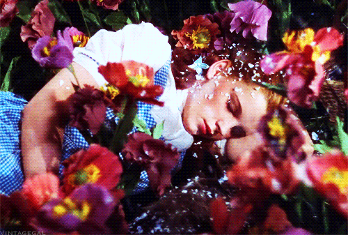 wizard of oz GIF 215