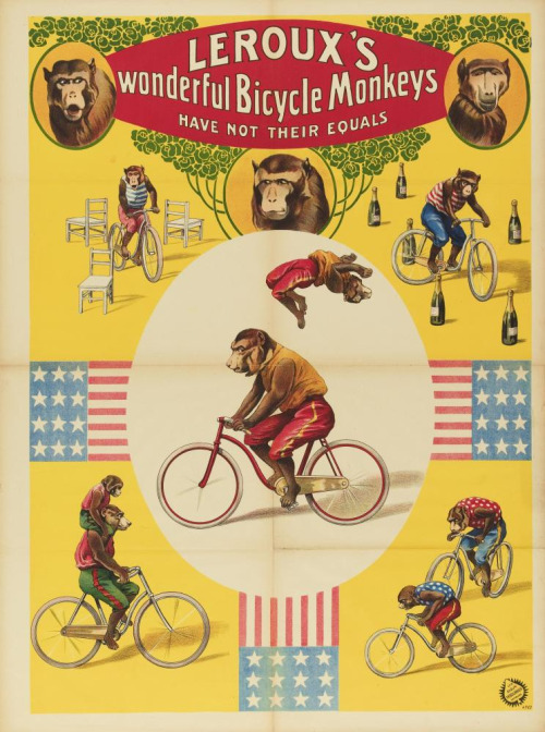 cycle monkeys