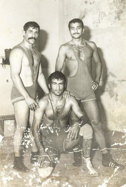 iranian wrestlers