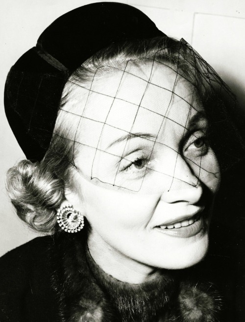 marlene deitrich 231