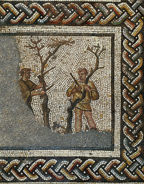 Grafting trees. Mosaic (1st half 3rd CE) from a series showing abgricultural work throughout the year, from Saint Romain-en-Gal, France