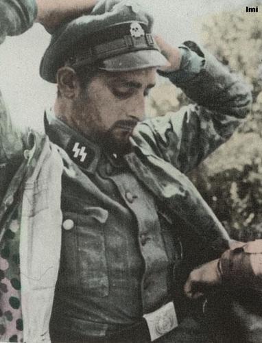 WWII nazi SS surrender